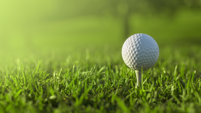 Alpha Paving Golf Tournament