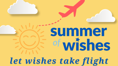 Summer of Wishes