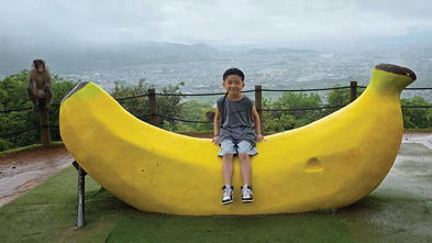 Kennedy's wish to go to Japan