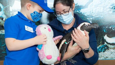 Jackson meets a penguin
