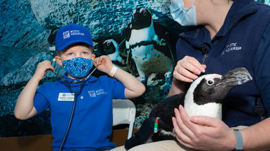 A young boy who loves penguins has wish granted