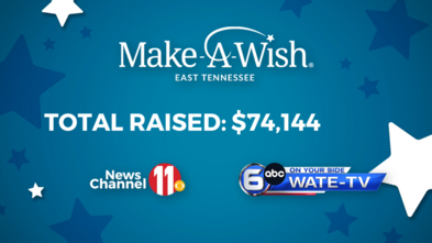 WJHL Telethon - Make-A-Wish East TN