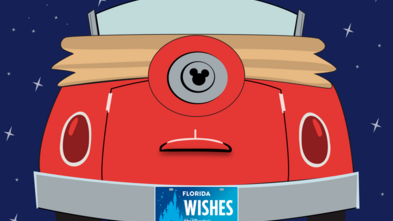 License Plate Banner