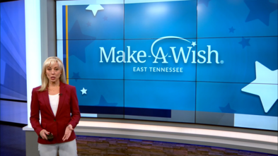 Wednesdays Wish MAWETN