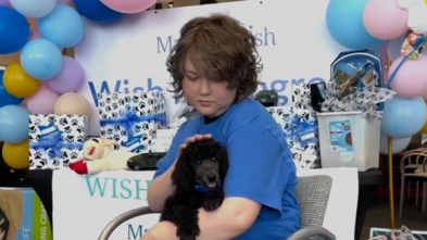 Scarlett's wish for a puppy comes true!