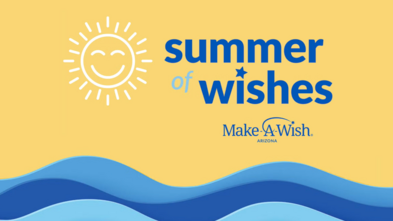 Help Us Grant 100 Wishes in 100 Days