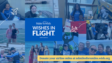 Wishes in Flight