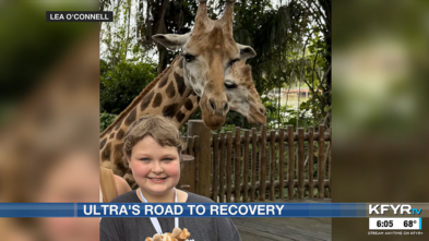 Ultra's Road to Recovery - photo of Ultra with giraffes in Singapore