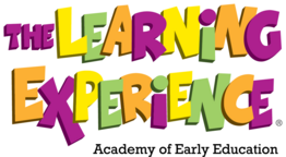 The Learning Experience