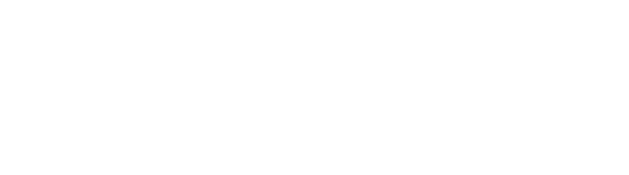 Make-A-Wish Logo