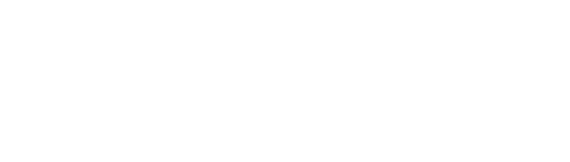 Make-A-Wish Logo