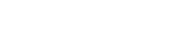 Make-A-Wish Logo