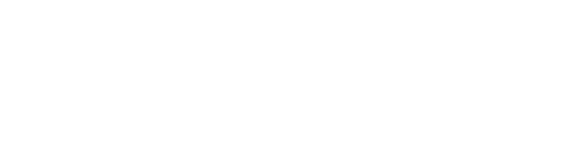 Make-A-Wish Logo