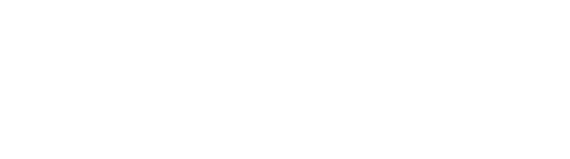 Make-A-Wish Logo