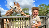 Wish kid Amelia dressed like a zookeeper feeding a giraffe