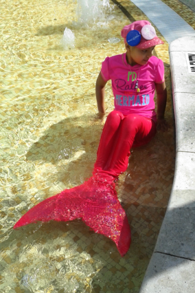 Paulyn