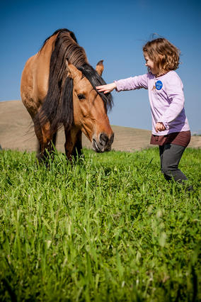 Corah Meet Spirit the Wild Horse