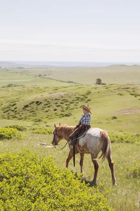 Cody Dude Ranch