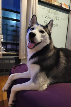 Shiloh on bed