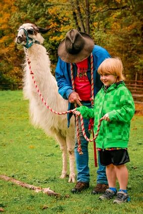 Sebastian meets Mr. Silver, the llama