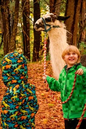 Sebastian walking Mr. Silver, the llama