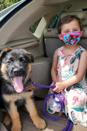 Berkeley with puppy Queen Ghidorah in the car