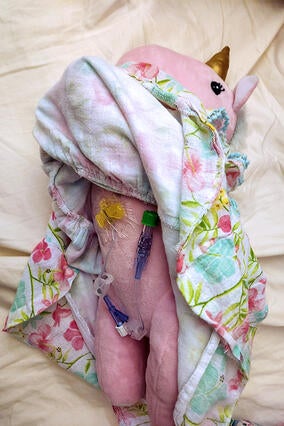 Lily's Unicorn