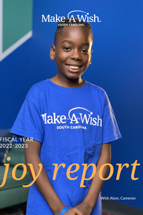 Joy Report cover