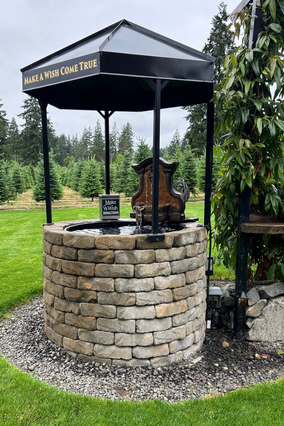 Wishing Well at Helping Hearts Tree Farm