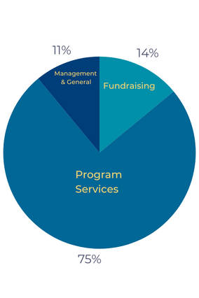 TXGF- FY25 pie chart
