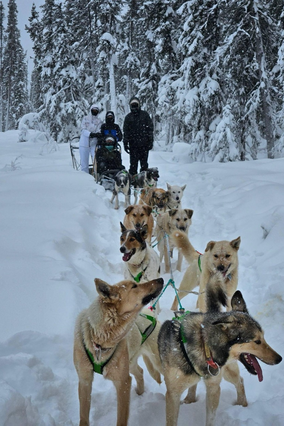 Sledding