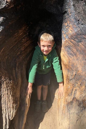 Jonah's wish to see sequoia trees in California