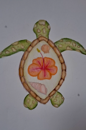 Samantha's turtle doodle.