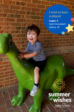 Logan's wish to have a playset