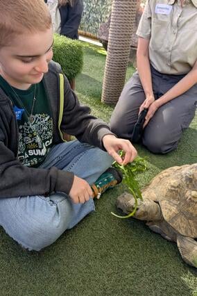 Zane with the turtle