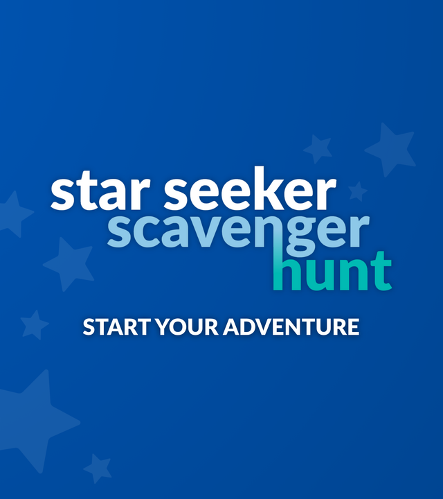 Make A Wish Star Seeker