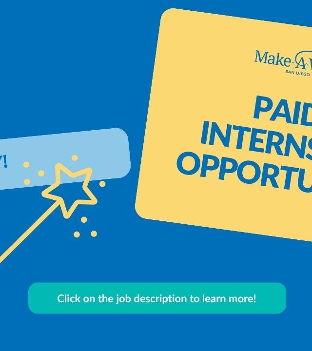Paid Internship