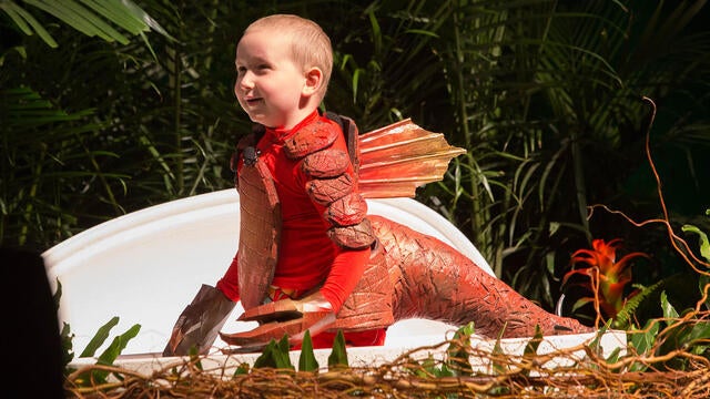 Hunter the dinosaur hatches from dino egg