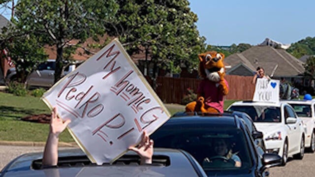 Pedros Parade