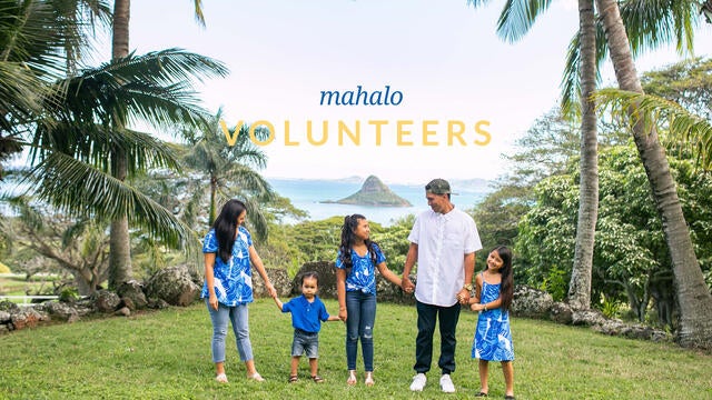 Annual Report Volunteers