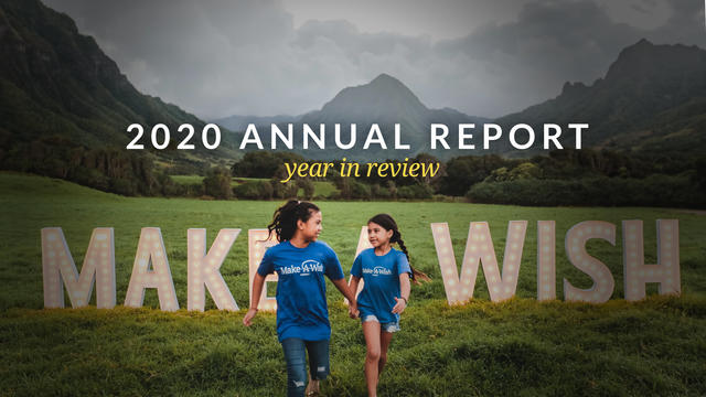 Annual Report Year in Review