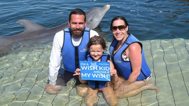 Hannah swims with dolphins
