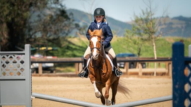 Samantha's wish to lease a horse 3