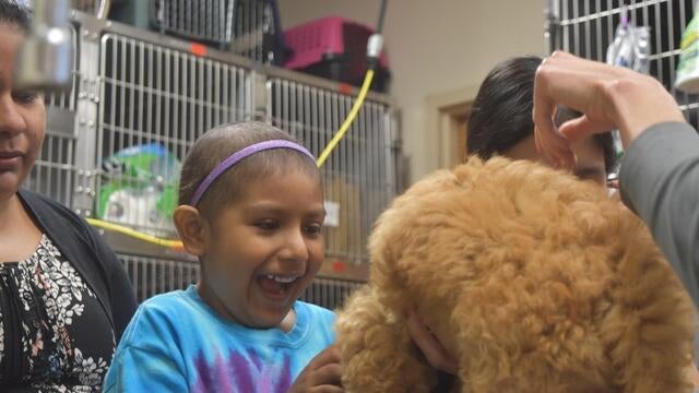 Wish Kid Polet & Puppy