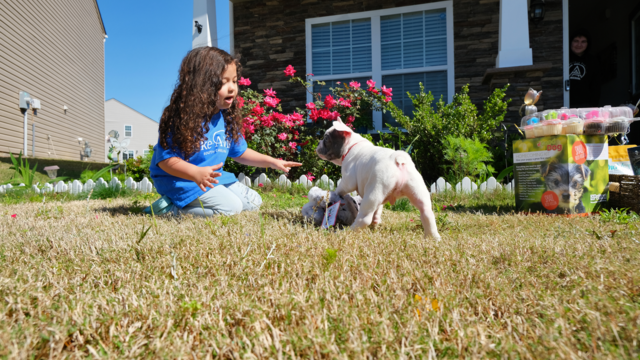 Martina playing with her puppy