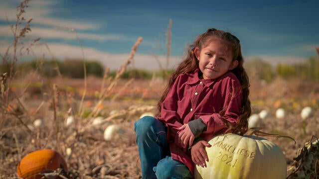 Annie rests on a pumpkin under the warm sun.