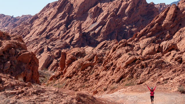 Trailblaze Challenge 2022 Hiker