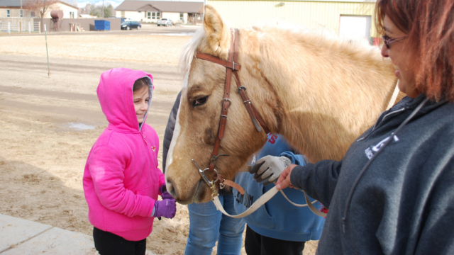 Addison_Horse_Wish