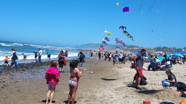 Savannah on the beach with kites
