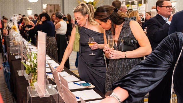 Guests bid on silent auction items at gala